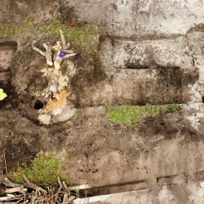 WhatsApp Image 2026-03-06 at 11.56.54 (2)