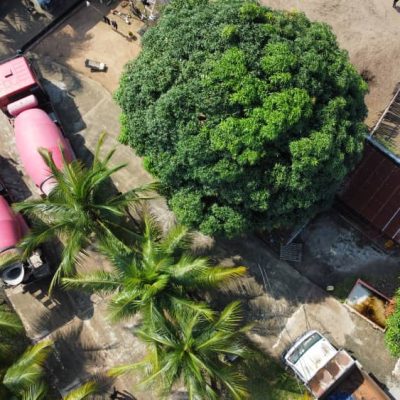 WhatsApp Image 2026-03-06 at 11.56.57 (1)